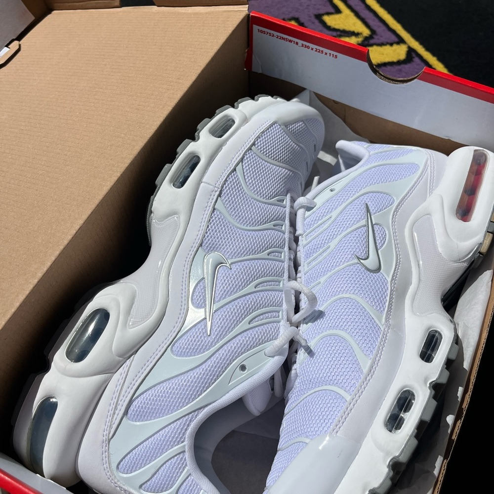Nike Air Max Plus in White and Gray